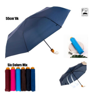 Petit parapluie